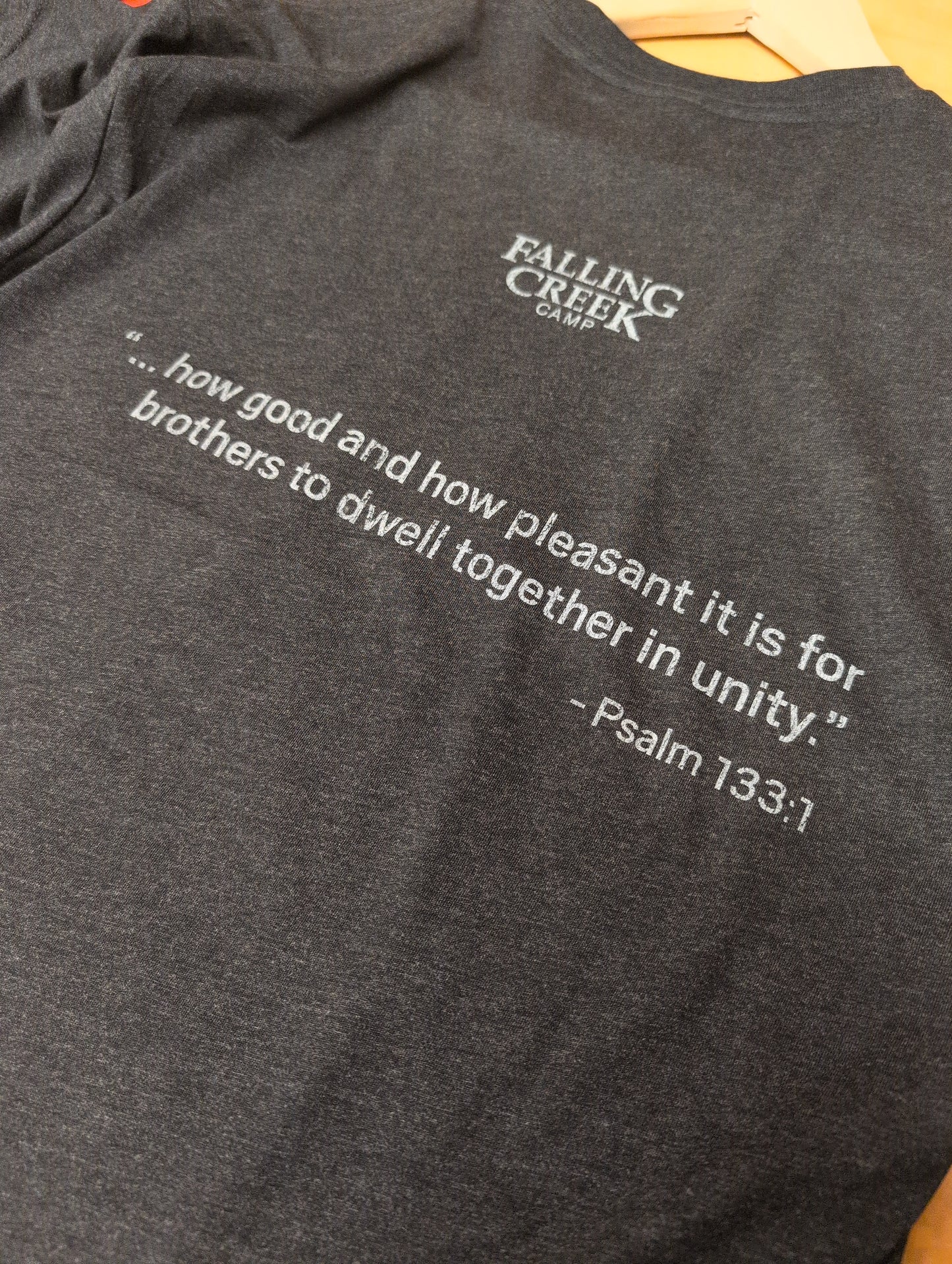 T-Shirt - Behold (Vintage Black)