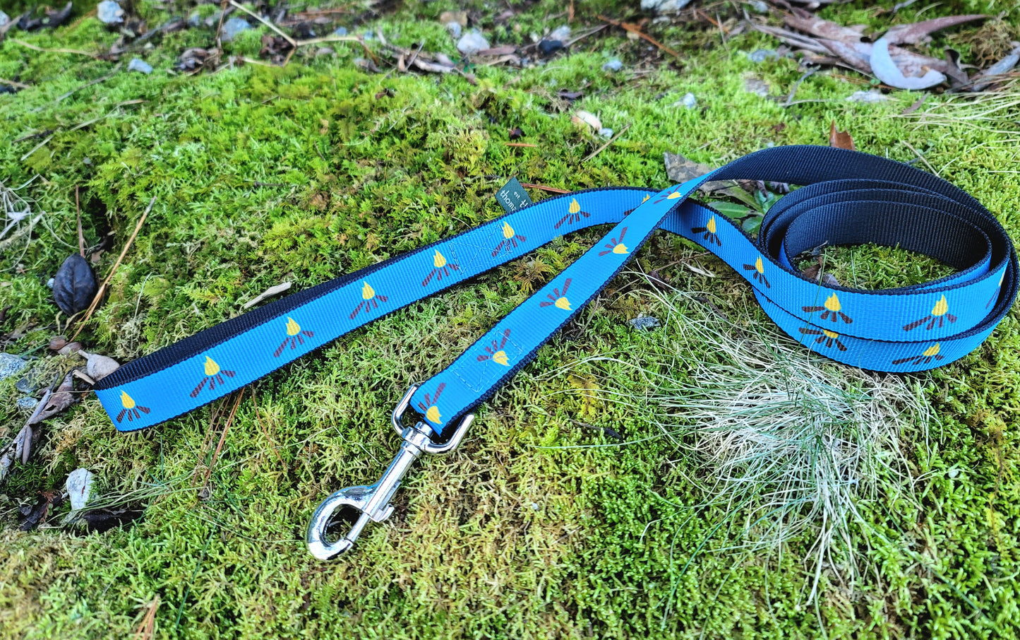 Dog Collar and Leash - Blue Webbing Campfire Pattern (USA)